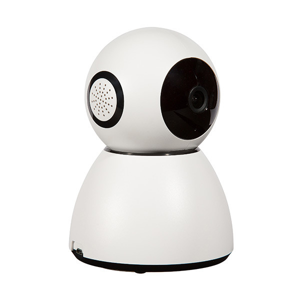 Numaxes Eyenimal Pet Vision Live Full HD - Caméra Live