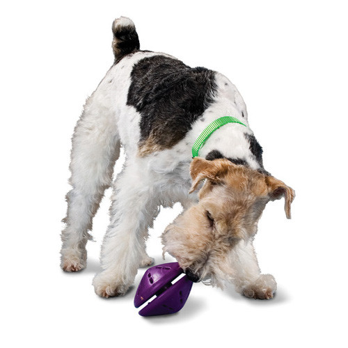 Jouet Twist'n Treat - Distributeur Réglable pour Chien