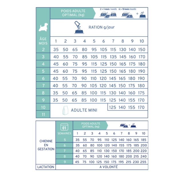 Tonivet Chien Junior Mini - 2 kg 