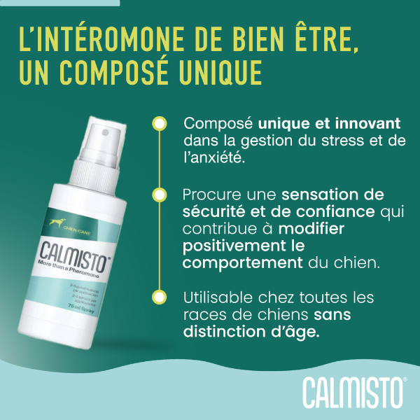 Calmisto spray chien - 75 ml