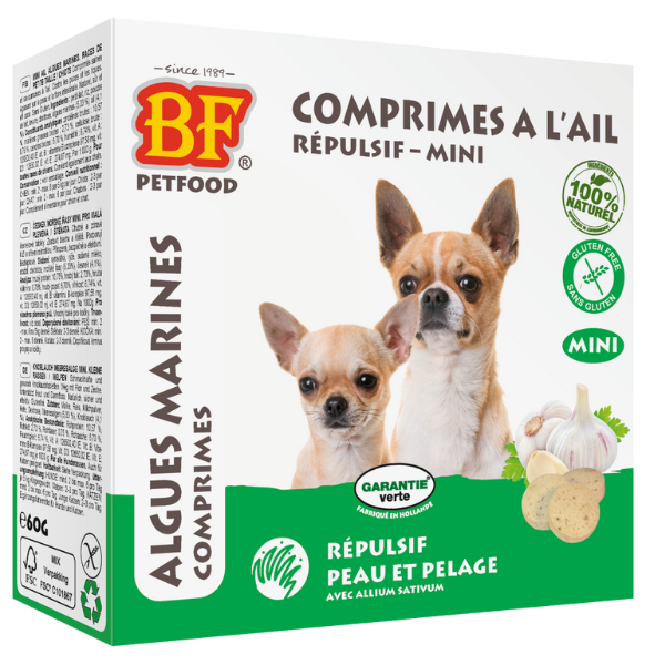 Companibox pour Chien - Taille S
