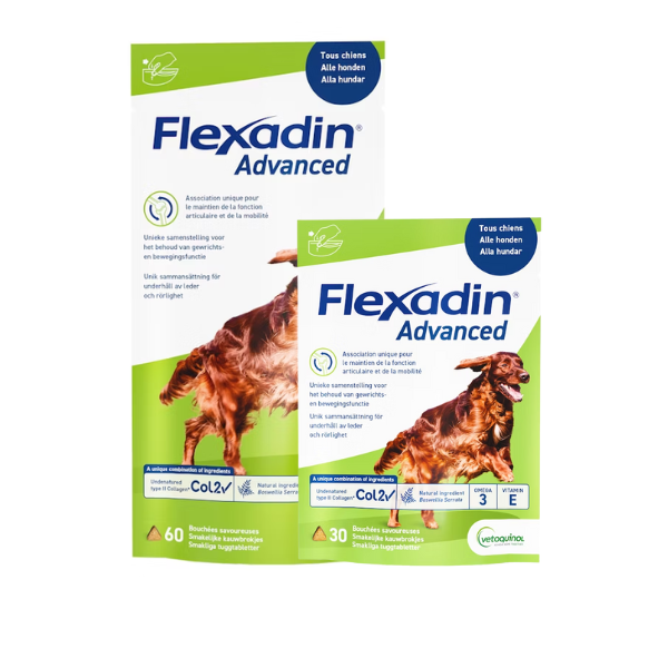 Flexadin Advanced pour Chien