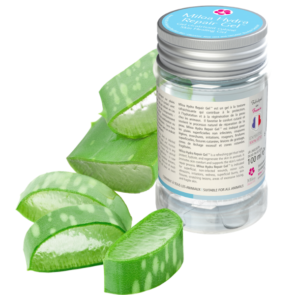 Miloa Hydra Repair Gel - 100 ml