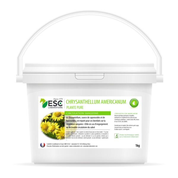 ESC Laboratoire Chrysantellum Americanum - 1 kg 
