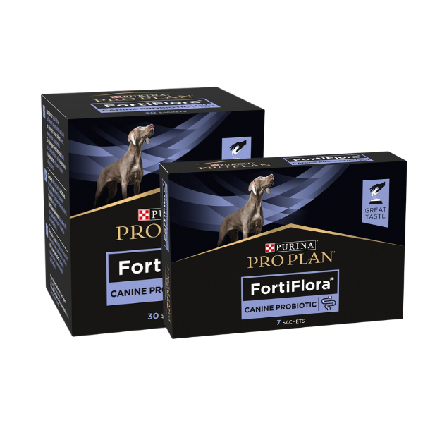 FortiFlora pour Chien 