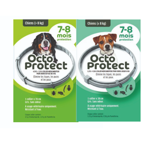 Octoprotect Chien