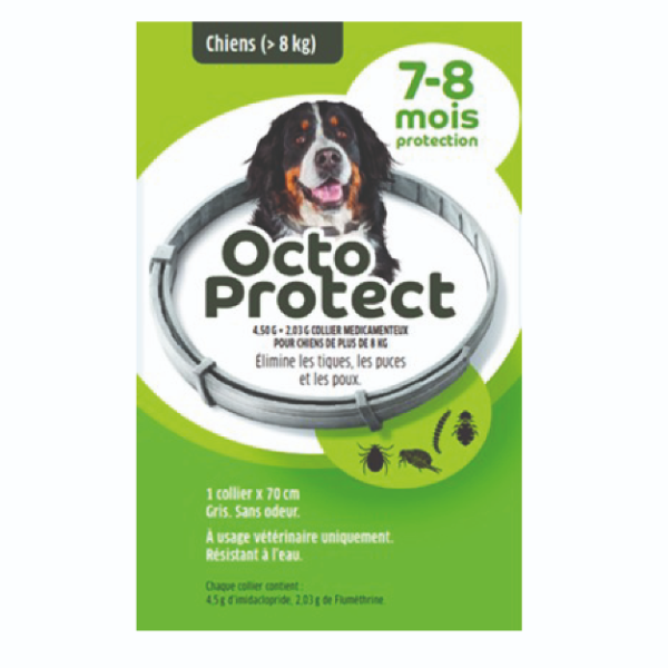 Octoprotect Chien