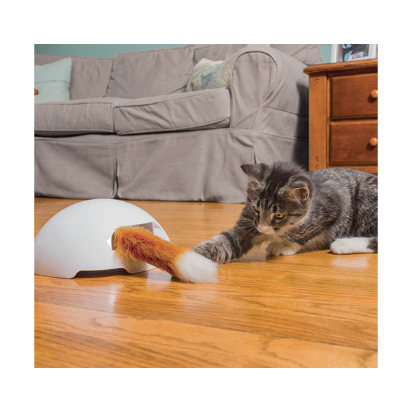 FroliCat Jouet Electronique Foxden