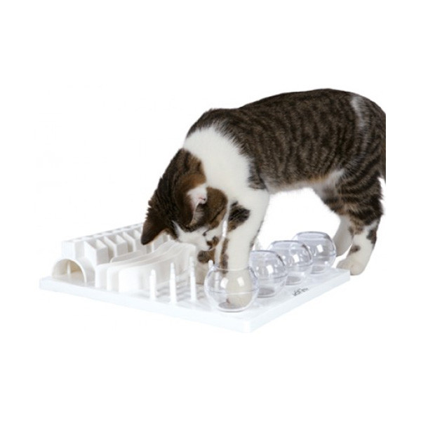 Jouet Fun Board pour Chat
