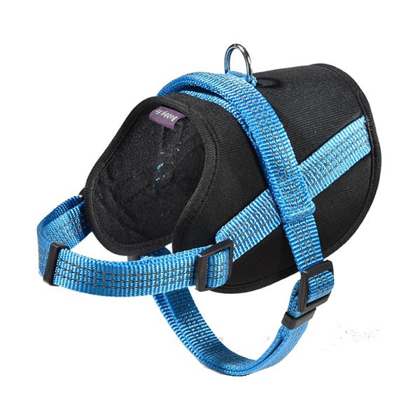 Bobby Harnais Easy Safe Bleu pour Chien - XS