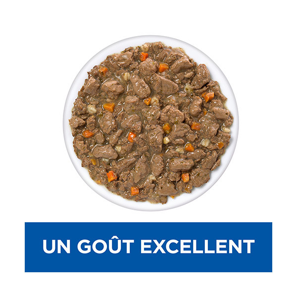 Hill's Prescription Diet Feline Gastrointestinal Biome Mijotés - 24 x 82 g