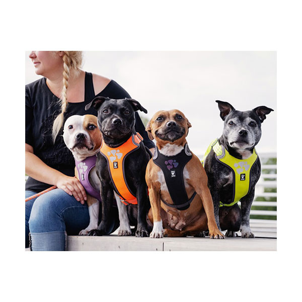 Hurtta Harnais Ergonomique Weekend Warrior Noir - Taille 2