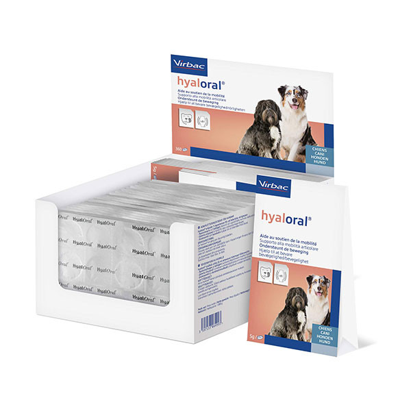 Hyaloral pour Chien - 360 cps