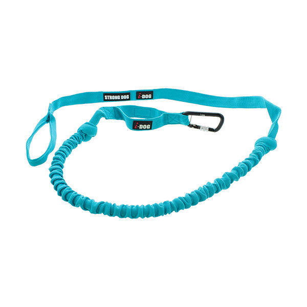 I-Dog Longe de Traction Opale