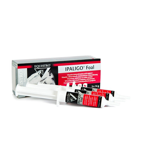 Equistro Ipaligo Foal