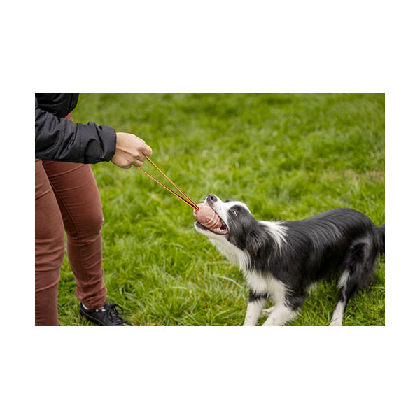 Balle Julius K9 DUOPlay Orange Fluo