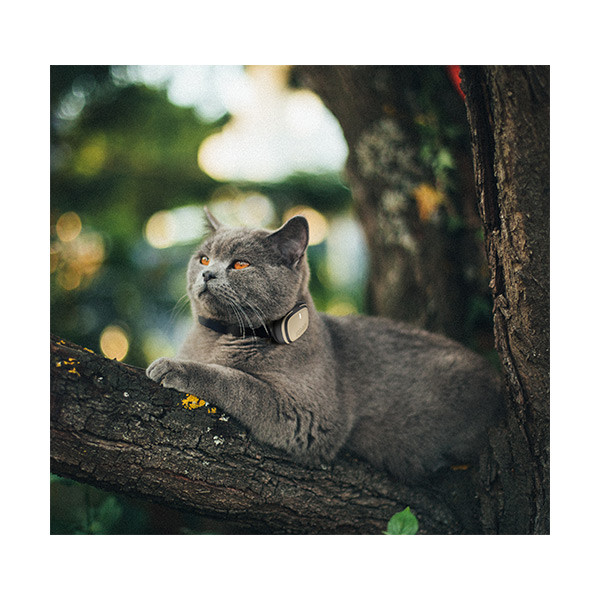 Kippy Evo GPS & Moniteur d'Activité