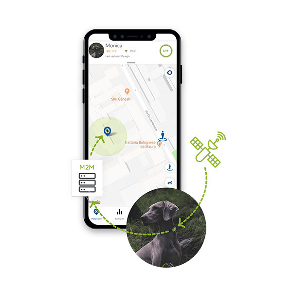 Kippy Evo GPS & Moniteur d'Activité