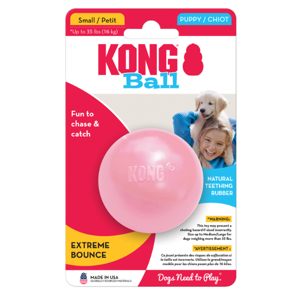 Kong puppy balle