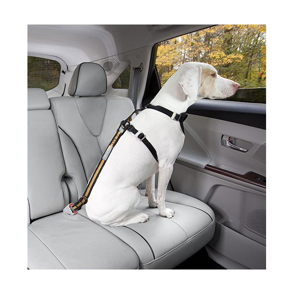 Kurgo Attache de Sécurité - Orange