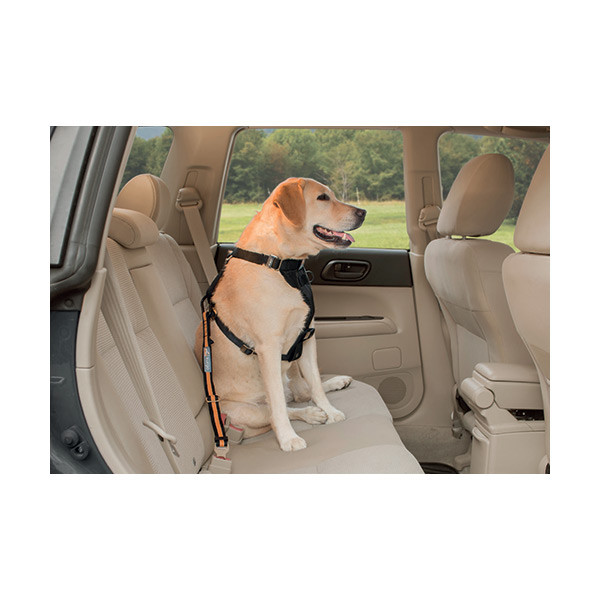 Kurgo Attache de Sécurité