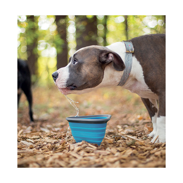 Kurgo Bol Compact Pliable - L