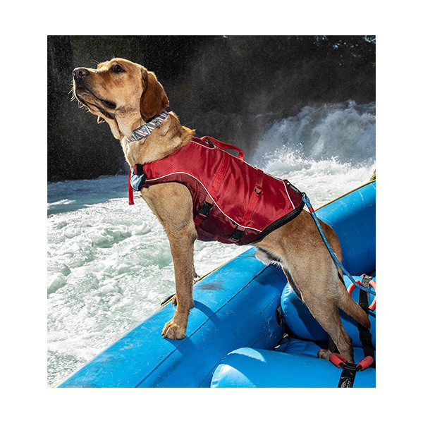 Kurgo Gilet de Flottaison - XL