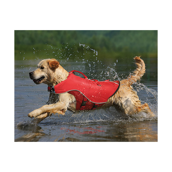 Kurgo Gilet de Flottaison - XL