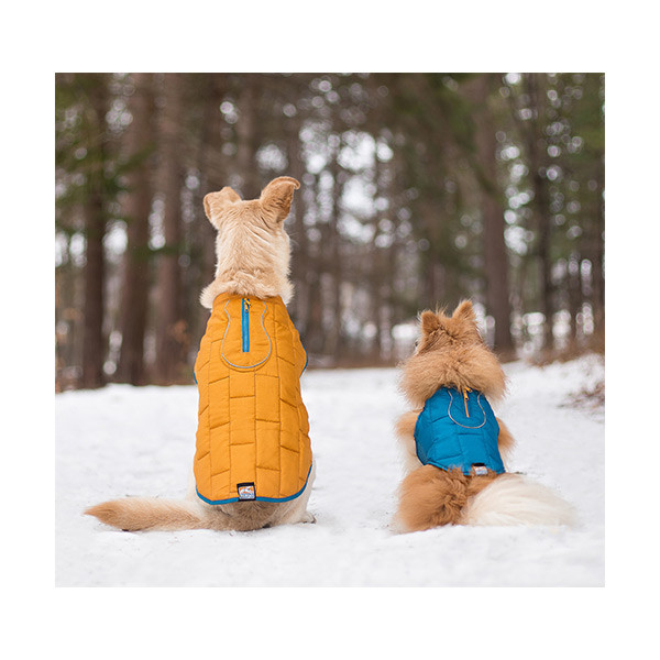 Kurgo Gilet de Confort Bleu/Orange - XL