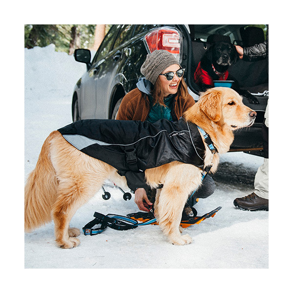 Kurgo Gilet Thermique