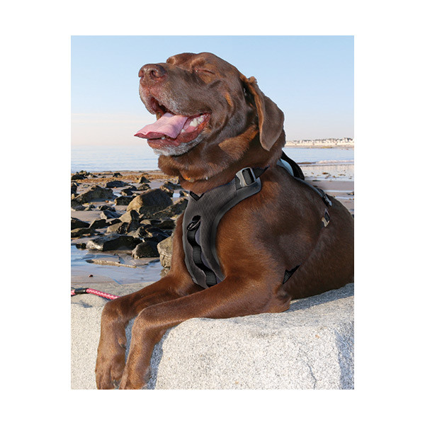 Kurgo Harnais Journey Air