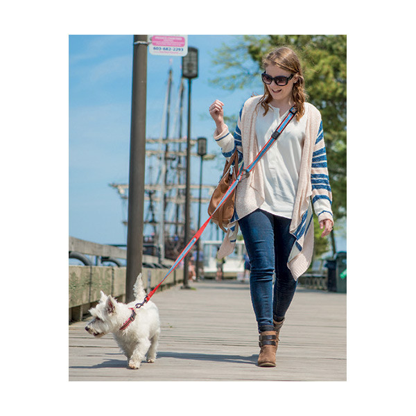 Kurgo Laisse Mains Libre - Bleue