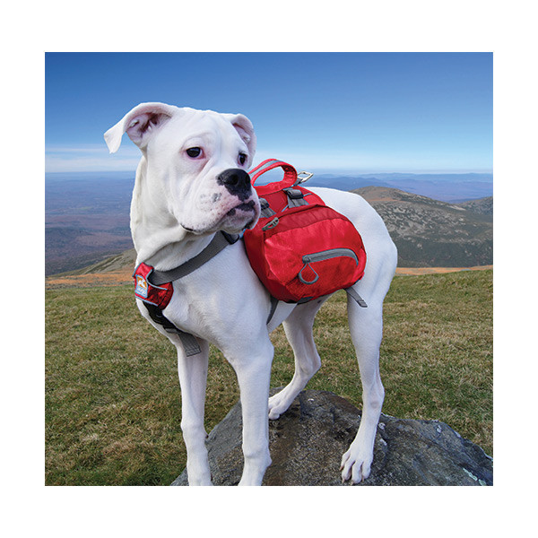 Kurgo Sac de Bât Baxter - L