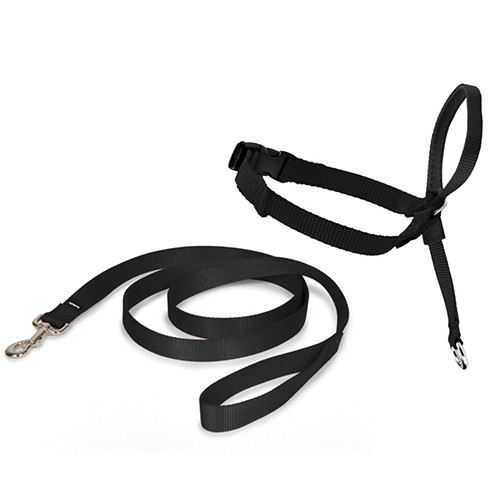 Licol Easy Walk Noir pour Chien