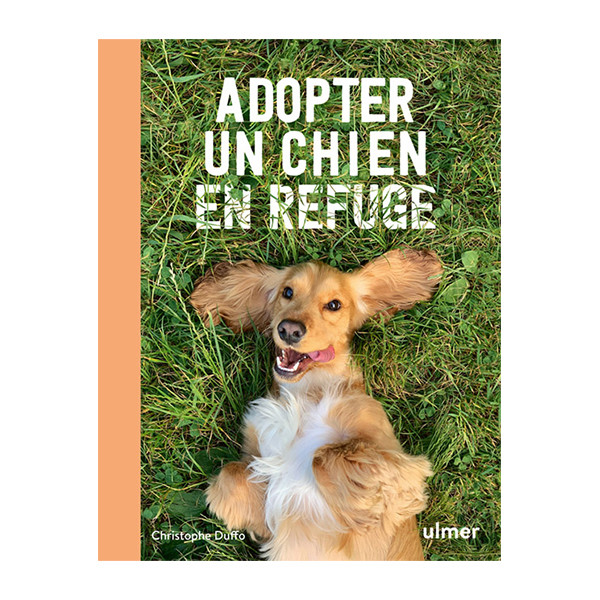 Adopter un chien en refuge 