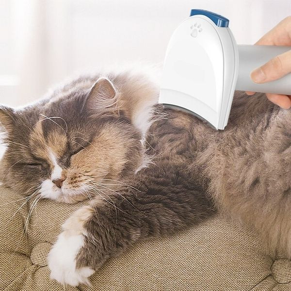 Station de toilettage avec pulseur 7en1 V2