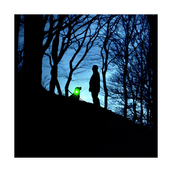 Orbiloc Lampe LED Dog Dual Safety Light