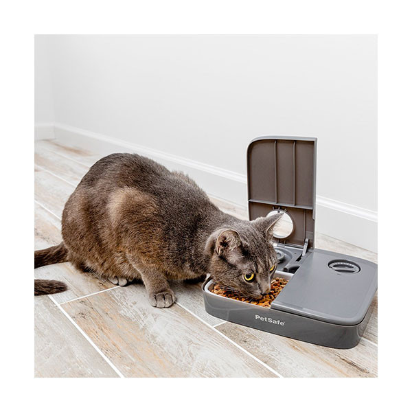 PetSafe - Distributeur Automatique de Nourriture - 2 Repas