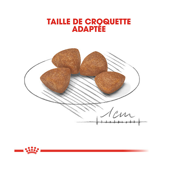 Royal Canin X-Small Puppy - 500 g