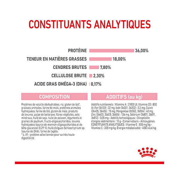 Royal Canin Kitten - 4 kg