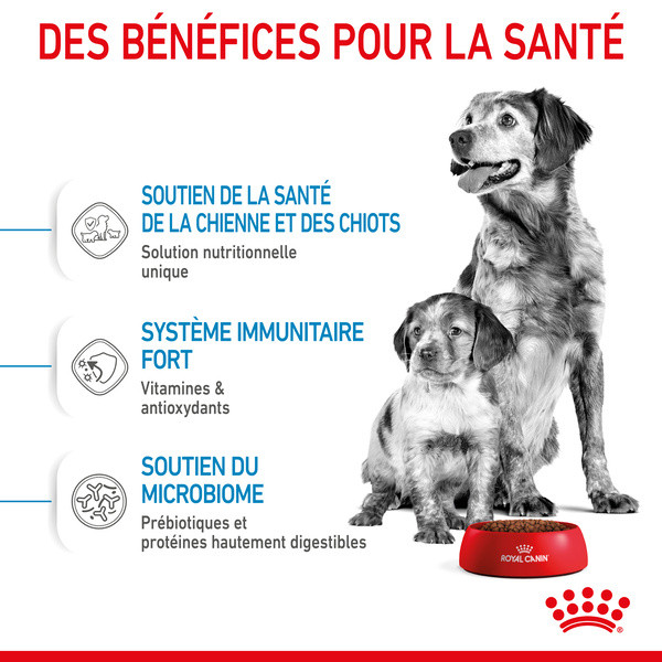 Royal Canin Medium Starter Mother & Babydog