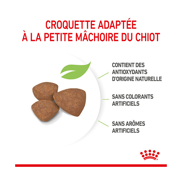 Royal Canin Mini Puppy - 2 kg