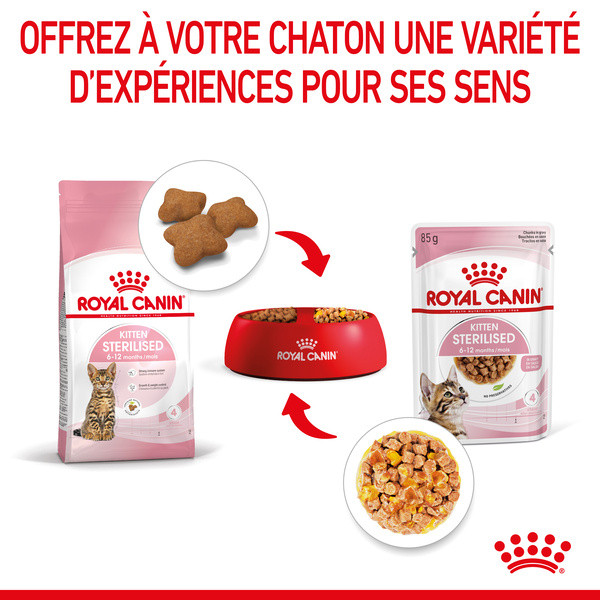 Royal Canin Kitten Sterilised Emincés en Gelée - 12 x 85 g