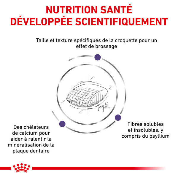 Royal Canin Vdiet Cat Dental - 1,5 Kg 