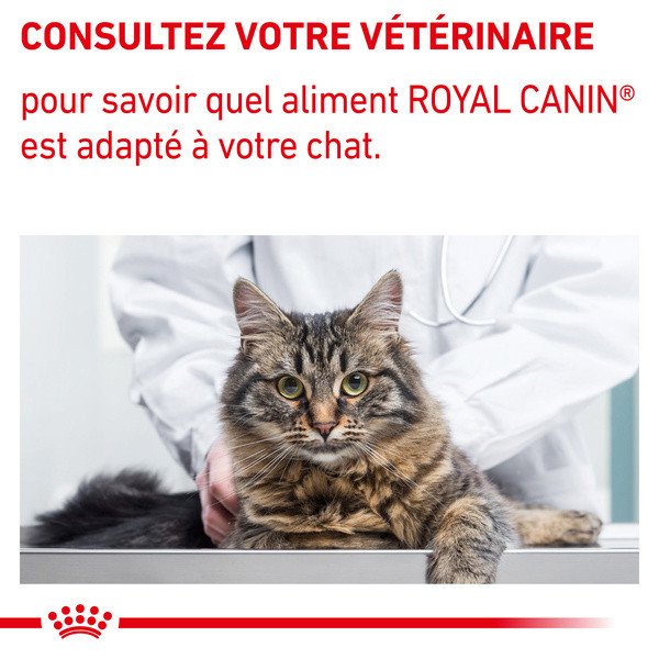 Royal Canin Vdiet Cat Dental - 1,5 Kg 