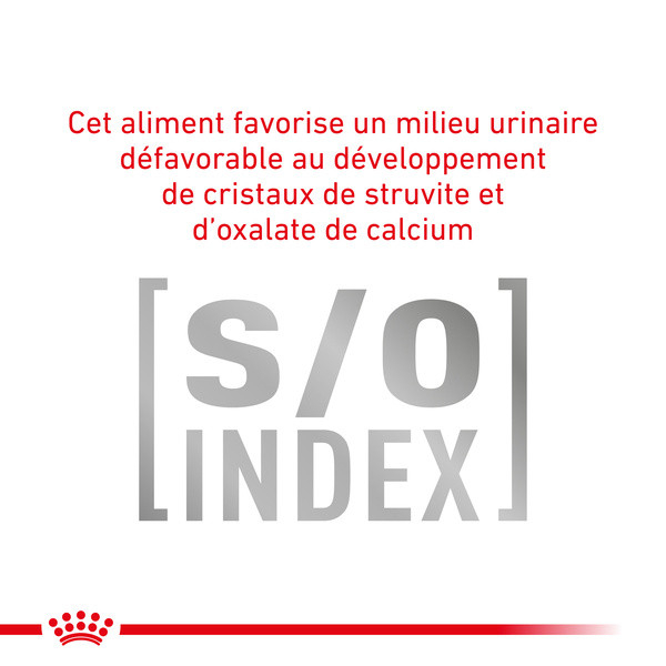 Royal Canin Vdiet Cat Gastro Intestinal