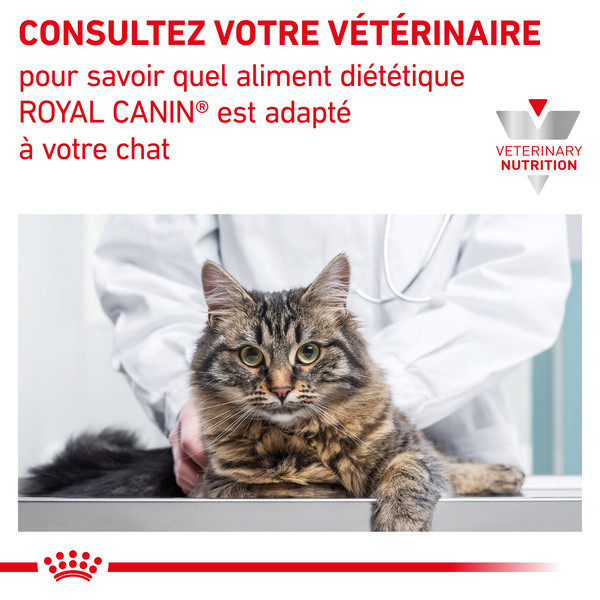 Royal Canin Vdiet Cat Gastro Intestinal