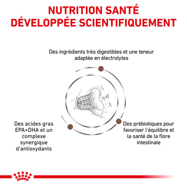 Royal Canin Vdiet Cat Gastrointestinal Fibre Response