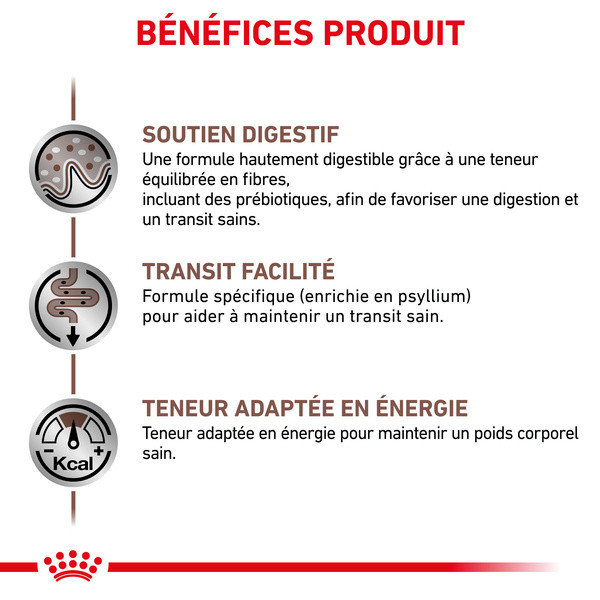 Royal Canin Vdiet Cat Gastrointestinal Fibre Response