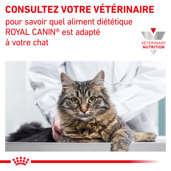 Royal Canin Vdiet Cat Renal